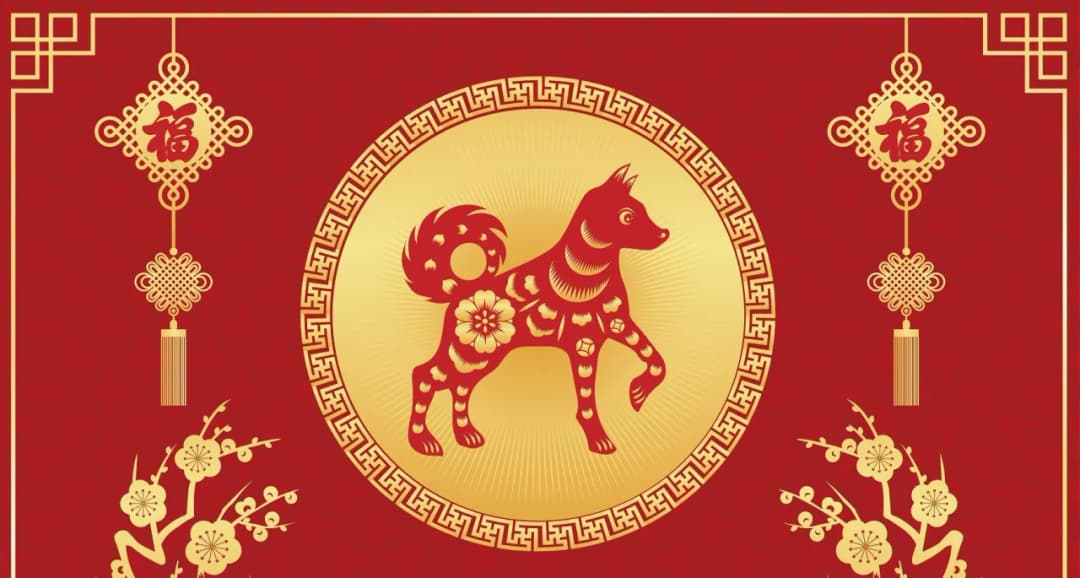 Pies jako chiński znak zodiaku: poznaj jego charakterystykę