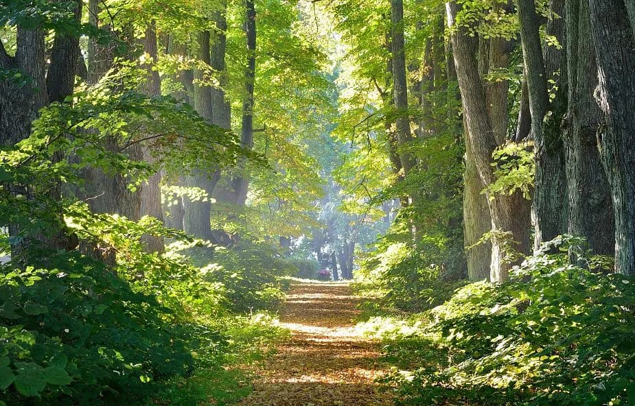 7 skutecznych sposobów jak odnaleźć spokój duszy i wewnętrzną harmonię