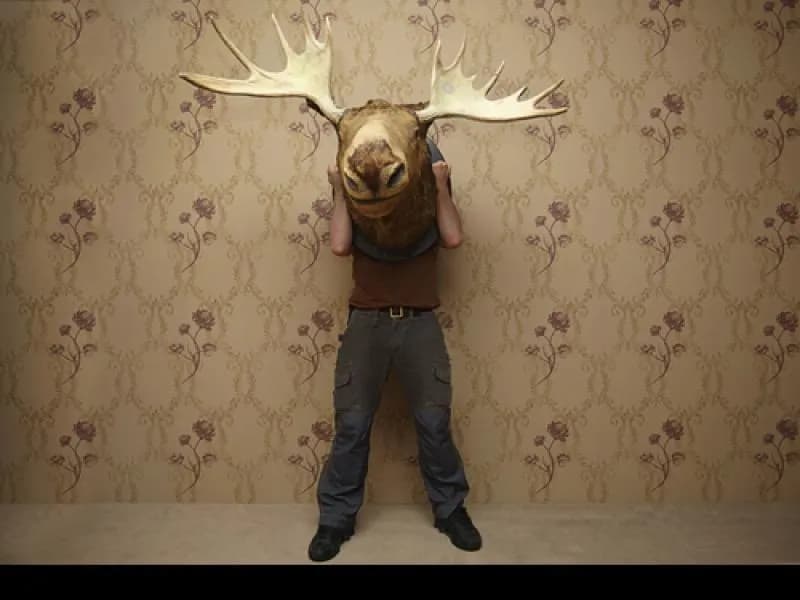 Co oznacza rogata dusza - znaczenie i pochodzenie frazeologizmu